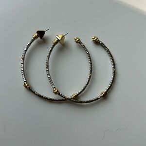 Alexis Bittar Hoop Earrings